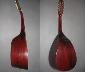 Mandolino fondo "bombé"